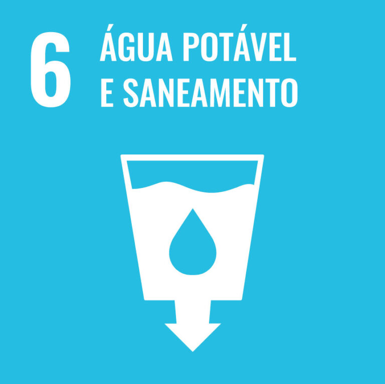 Leia mais sobre o artigo ODS06