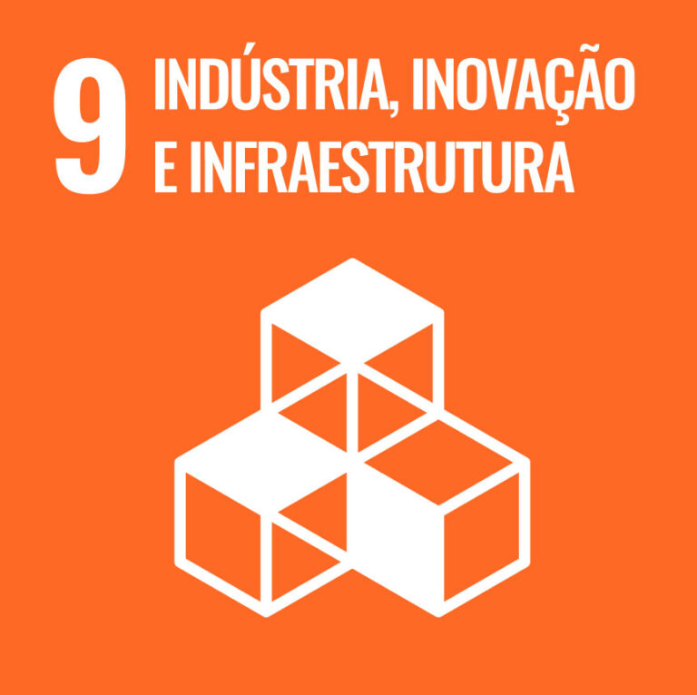 Leia mais sobre o artigo ODS09