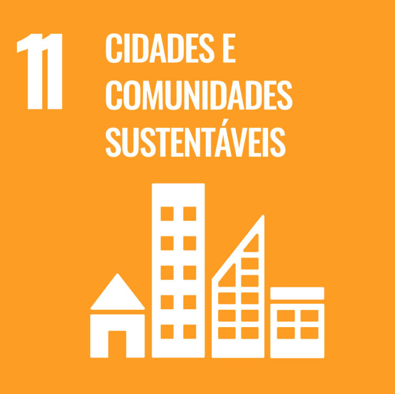 Leia mais sobre o artigo ODS11