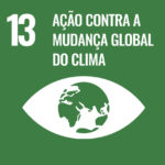 ODS13