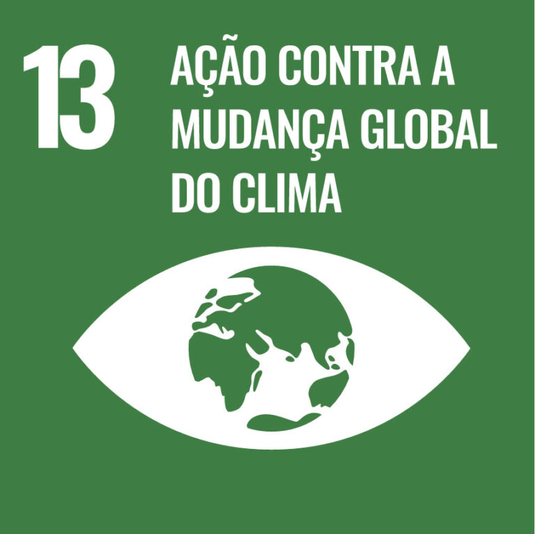 Leia mais sobre o artigo ODS13