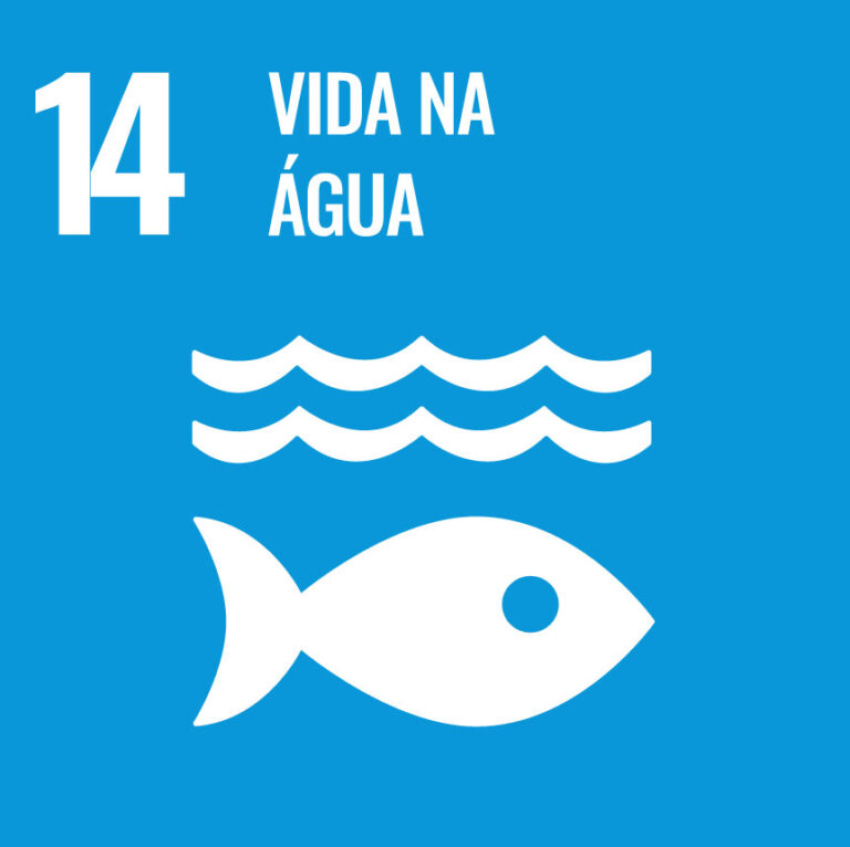 Leia mais sobre o artigo ODS14