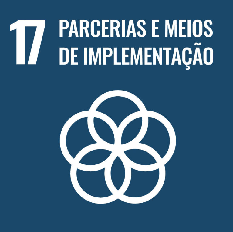 Leia mais sobre o artigo ODS17