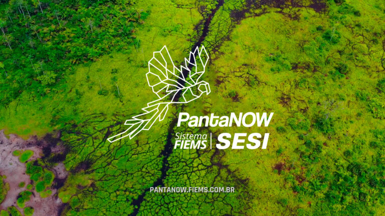 Leia mais sobre o artigo Desvendando o Programa PantaNOW: Arte e Sustentabilidade para MS