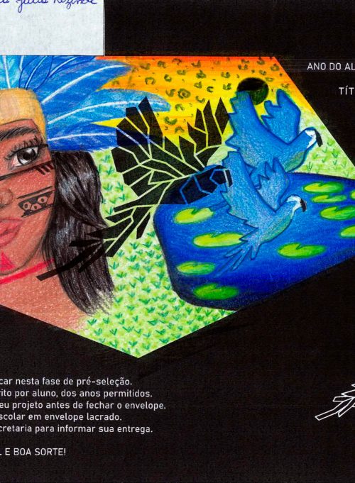 •	Naviraí: Maria Julia Resende Hernandes